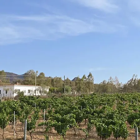 Della Monica Pure Relax 카미사